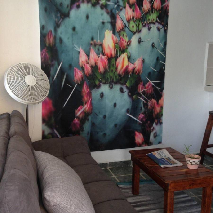 Casa De Hojas Apartment Playa del Carmen Bagian luar foto