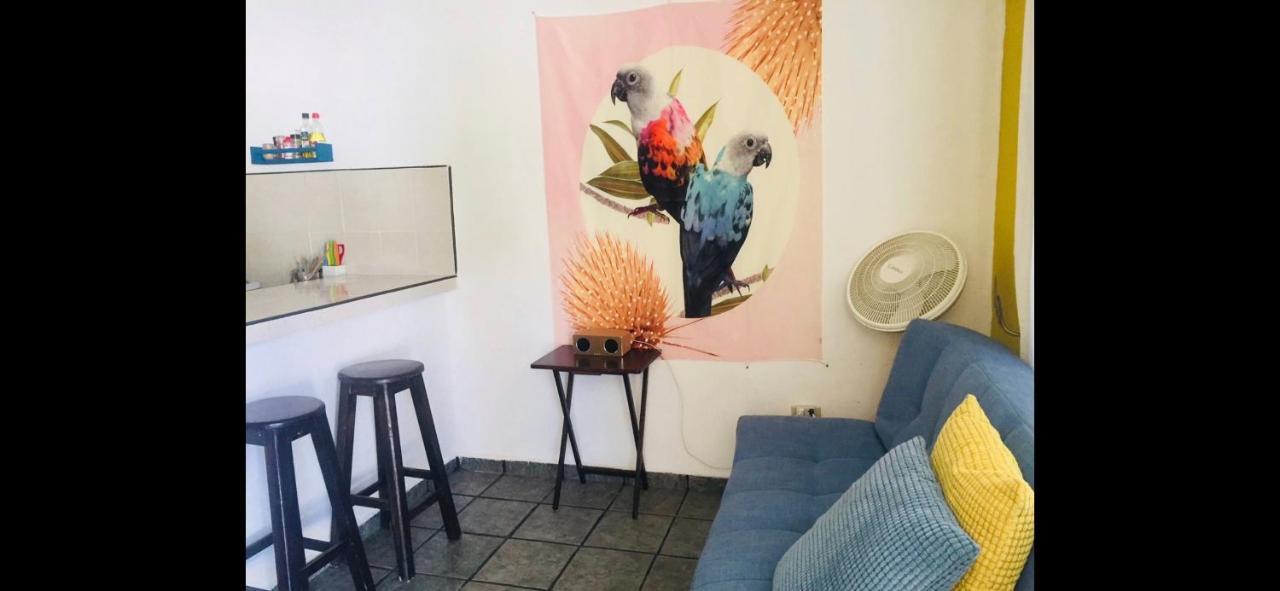Casa De Hojas Apartment Playa del Carmen Bagian luar foto